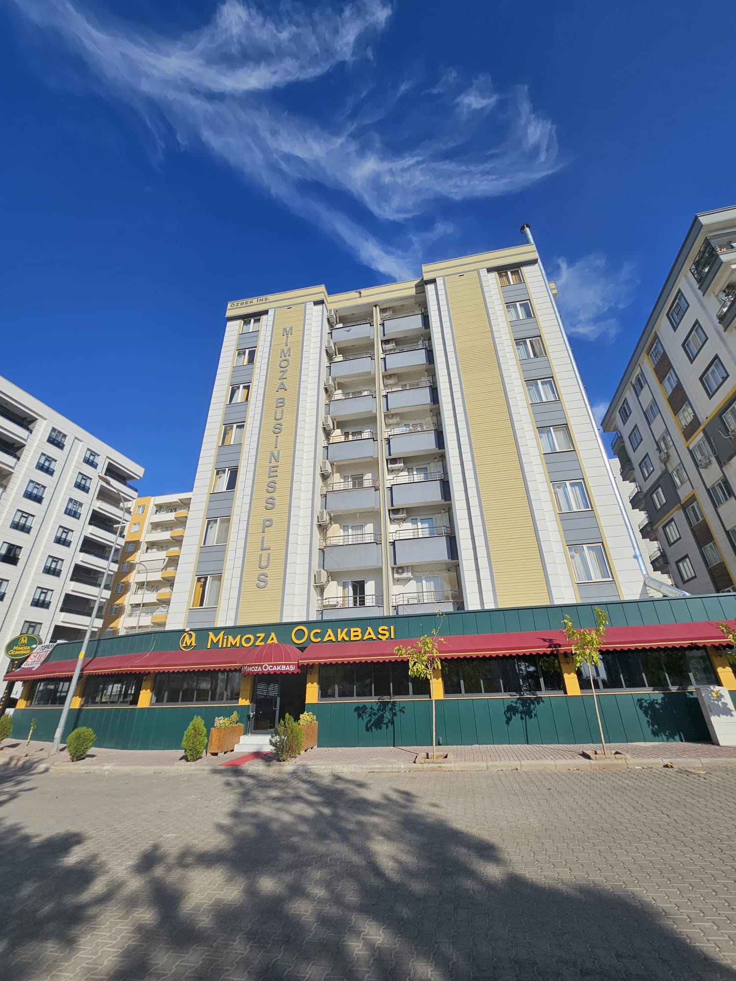 MİMOZA Business Plus